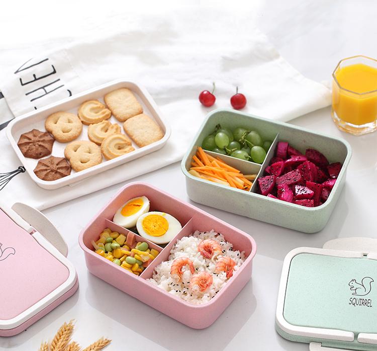 Biodegradable BPA free children portable lunchbox
